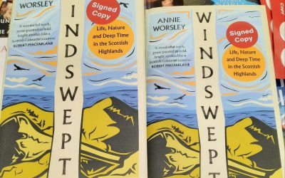 Windswept by Annie Worsley